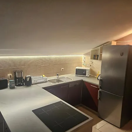 Apartment Silva Slatine